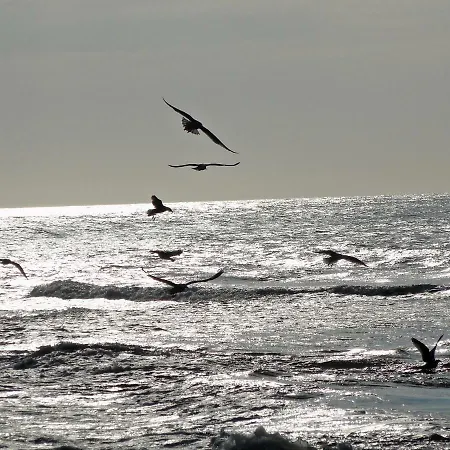 3 Haus Meeresblick Turmwohnung Mit Meerblick Und Suedbalkon A404 *