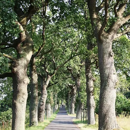 3 Haus Meeresblick Turmwohnung Mit Meerblick Und Suedbalkon A404 Apartment *