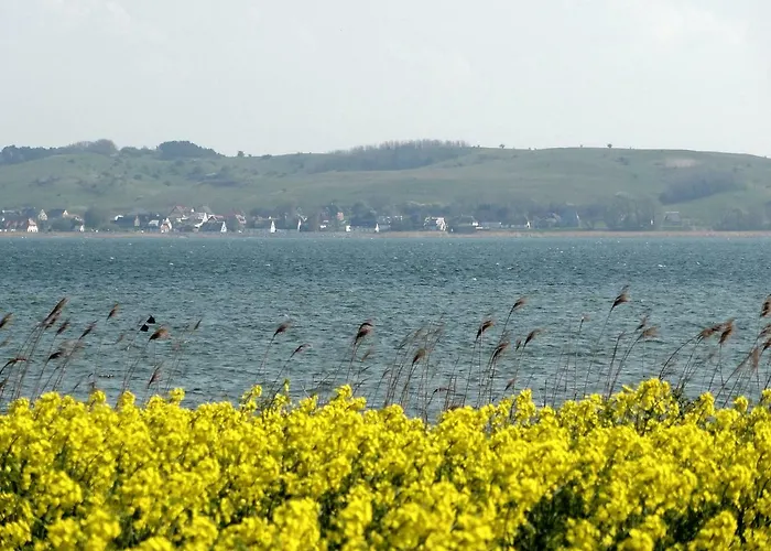 アパート 3 Haus Meeresblick Turmwohnung Mit Meerblick Und Suedbalkon A404 バーベ