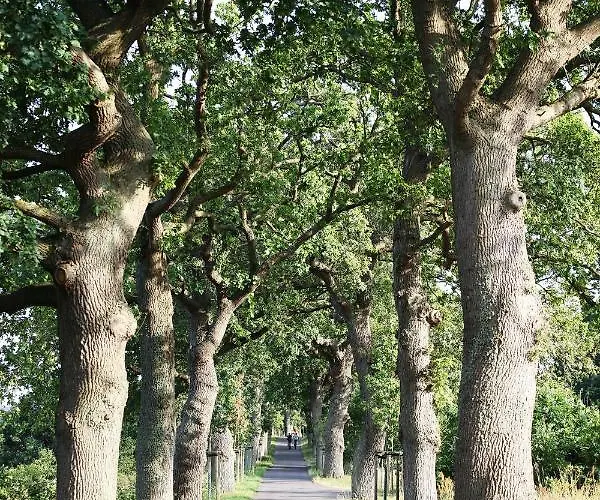 3 Haus Meeresblick Turmwohnung Mit Meerblick Und Suedbalkon A404 アパート *
